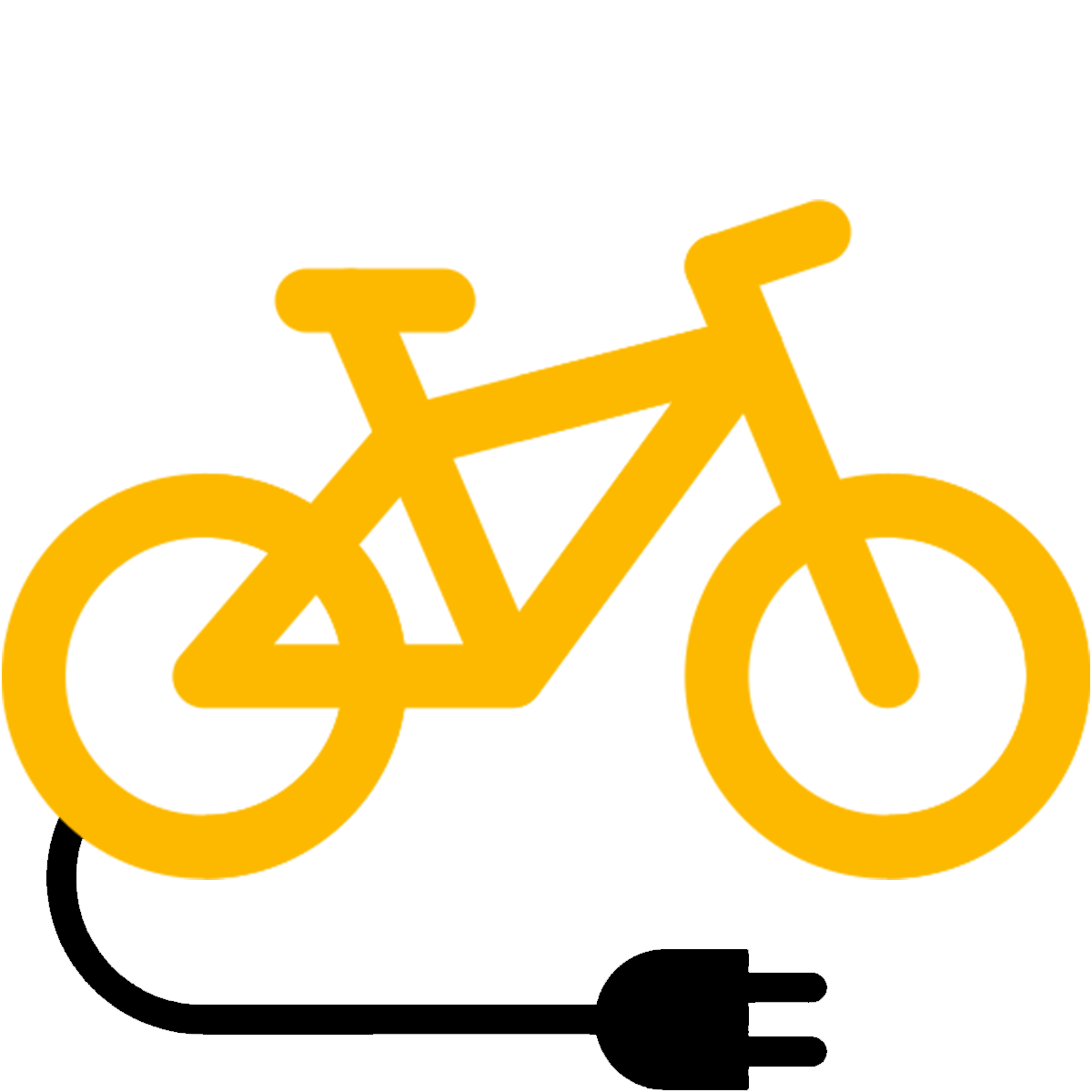 Noleggio E-Bike MTB